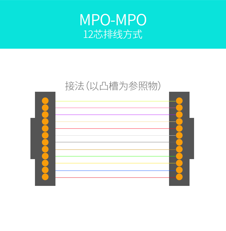 mpo跳线