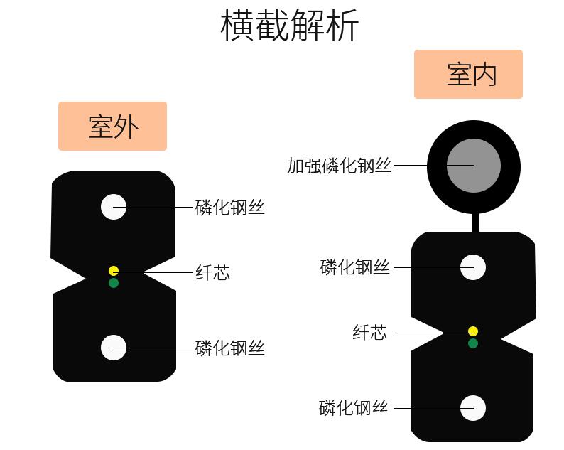 皮线光纤光缆横截面解析